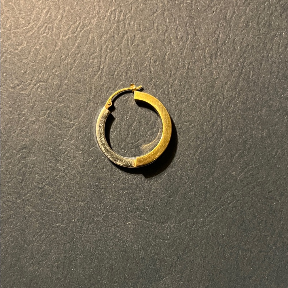 Elegant Gold and Silver Hoop Earring